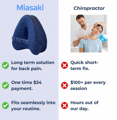 Miasaki Alignment Pillow