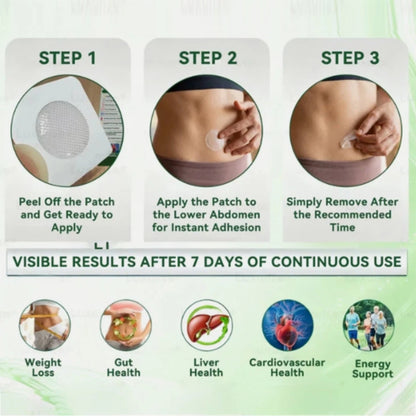 Miasaki Advanced Nano Microneedle Patch