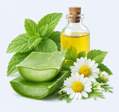 Herbal Soothing Ingredients