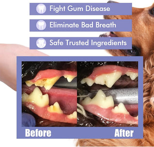 Miasaki Pet Oral Care Spray